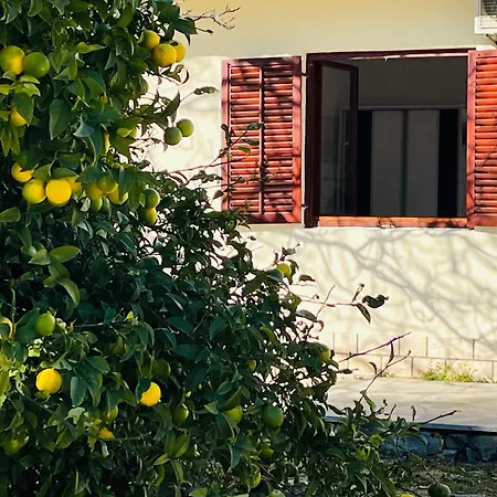 Beachfront Drazen, With Garden And Parking Apartament *